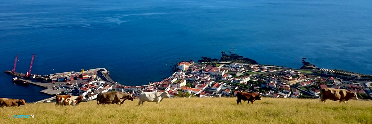 Van Tour in Sao Jorge Island - Azores