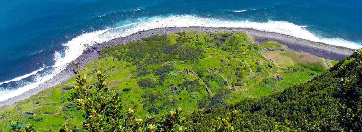 Walking Trail Faja Sanguinhal in Sao Jorge Island in Azores