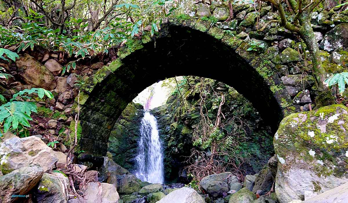Walking Trail Faja Sanguinhal in Sao Jorge Island in Azores