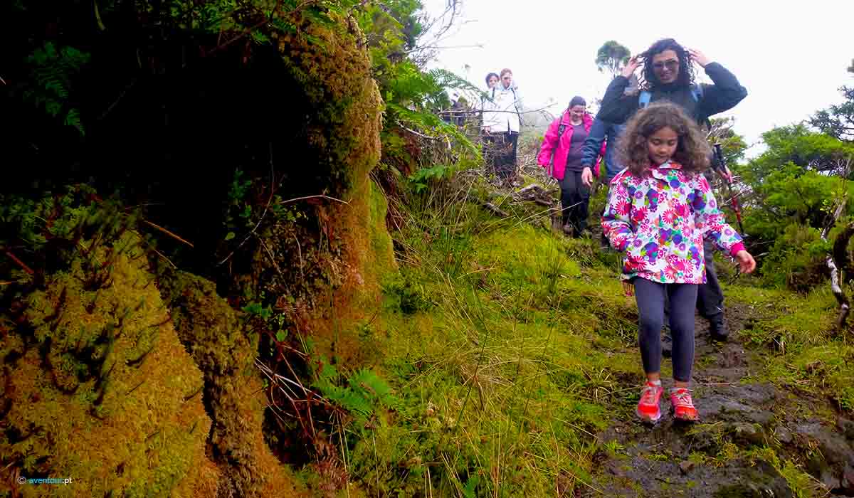 Hiking Trail Polgadas in Sao Jorge Island in Azores