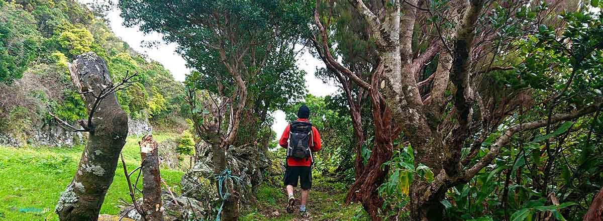 Walking Trail the Mountain to the Sea in São Jorge Island in Azores